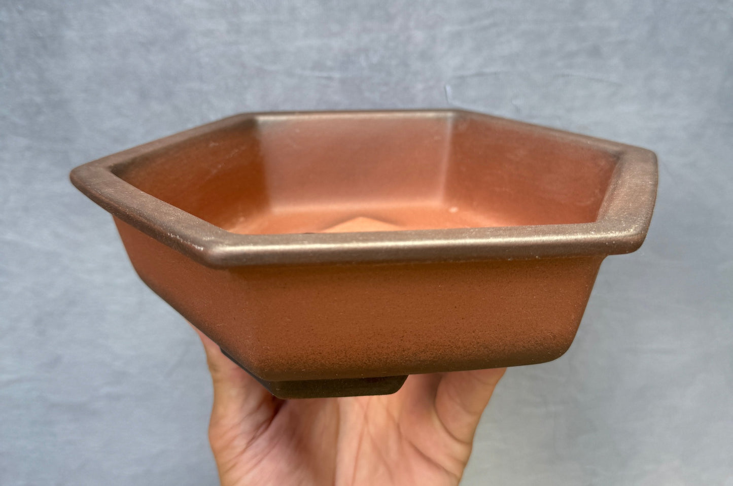 Hexagon Gradient Pot