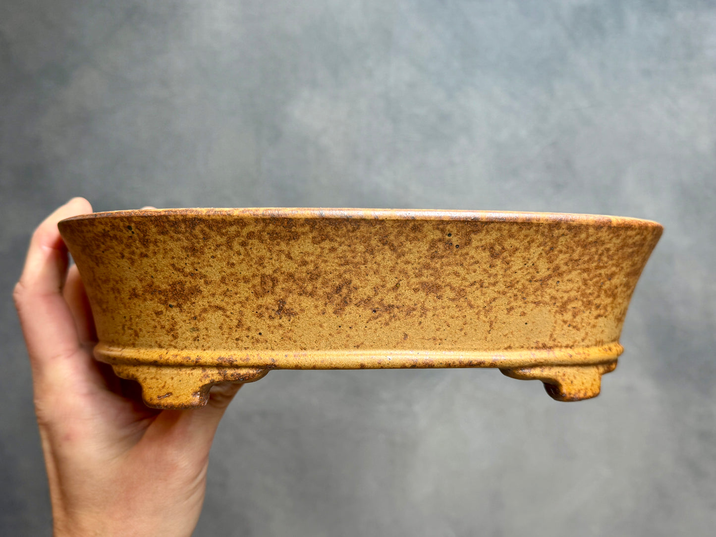 Classic Oval Pot