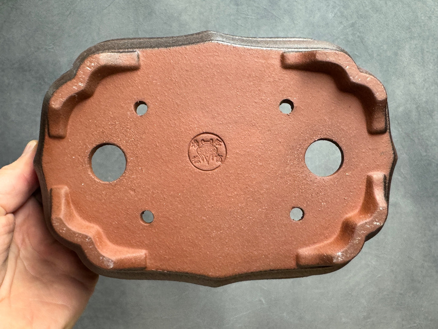 Lotus Style Rectangle Pot
