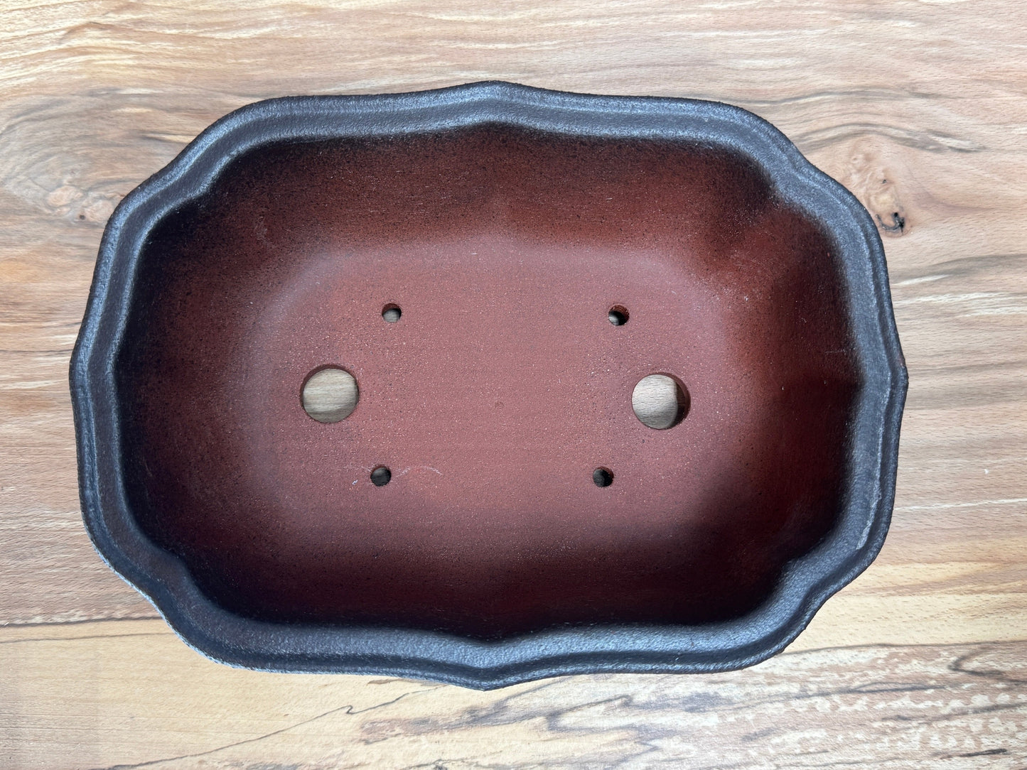 Lotus Style Rectangle Pot