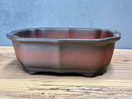 Lotus Style Rectangle Pot