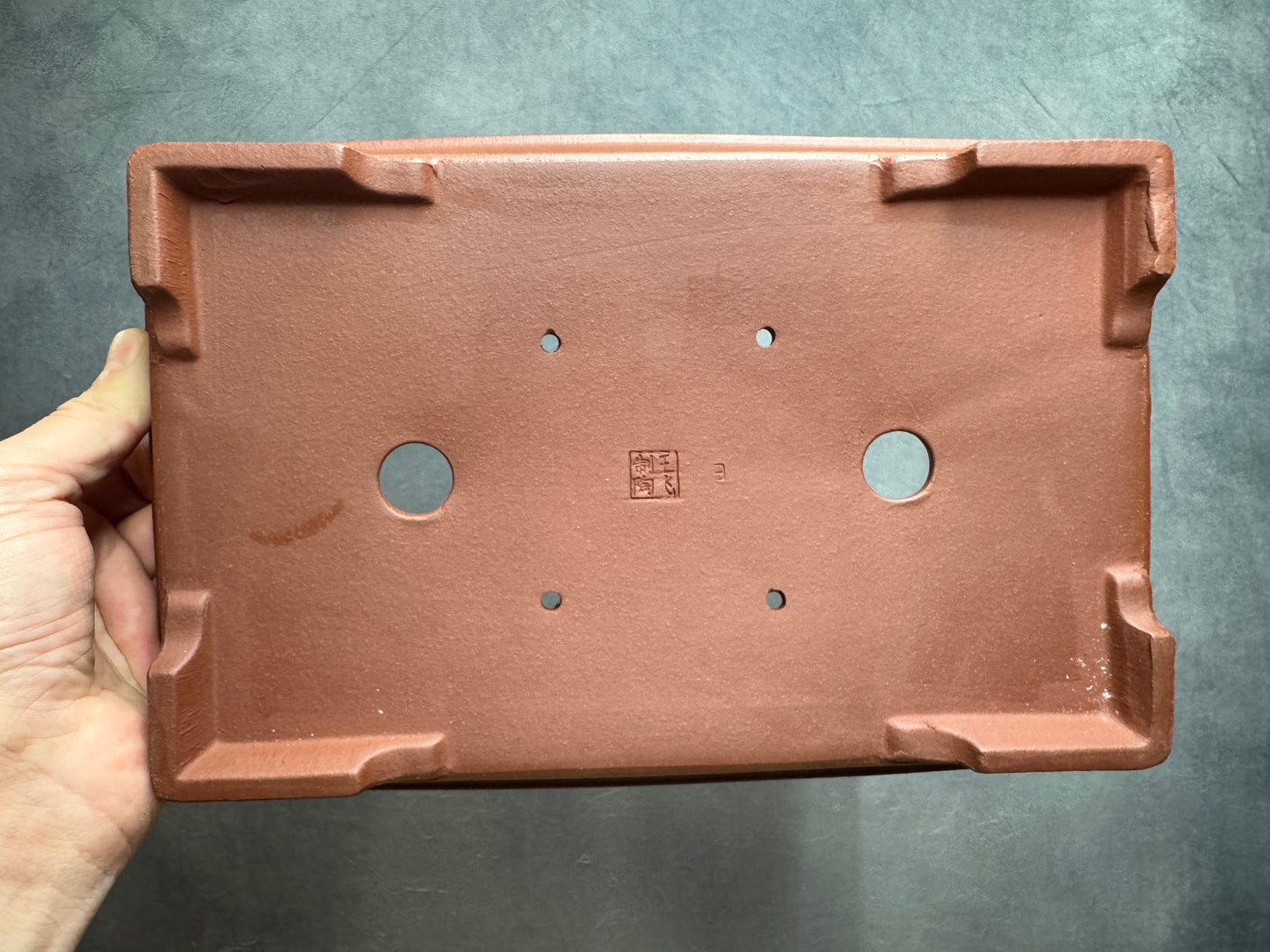 Shallow Rectangle Pot