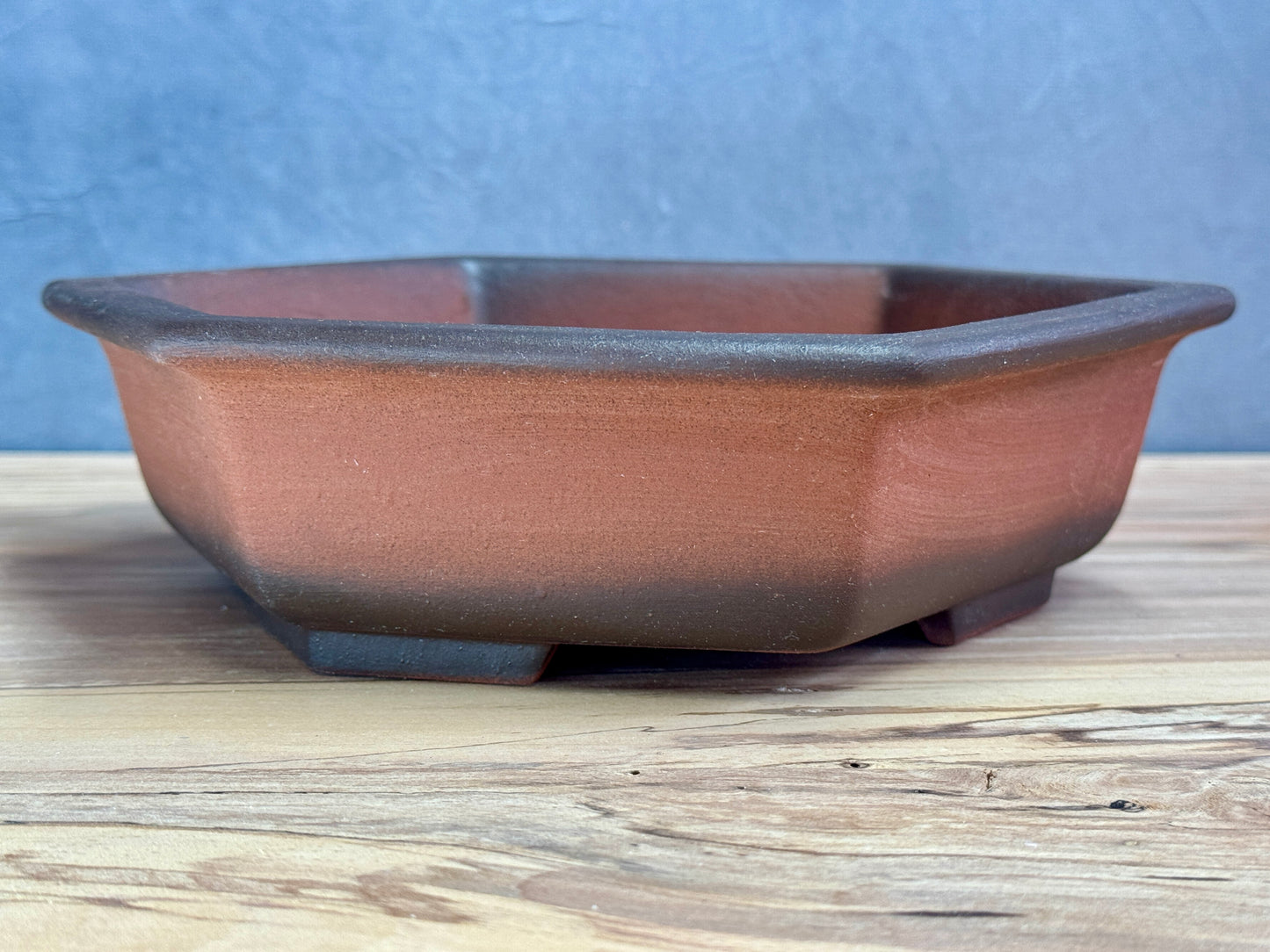 Hexagon Gradient Pot