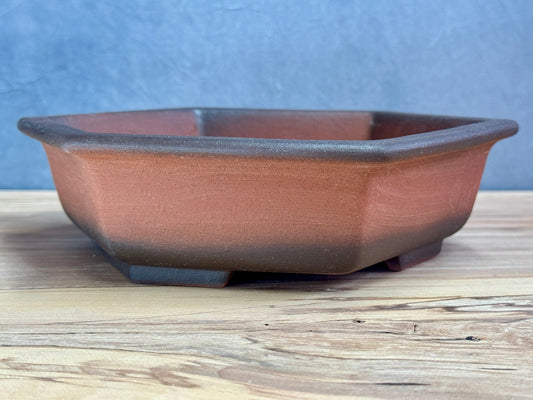 Hexagon Gradient Pot