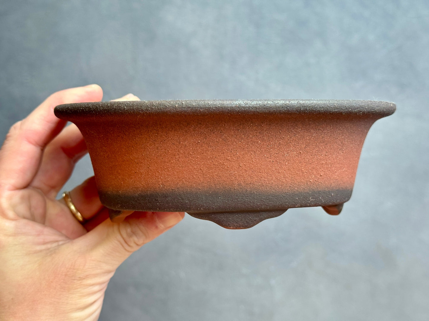 Gradient Finish Unglazed Tall Oval Pot
