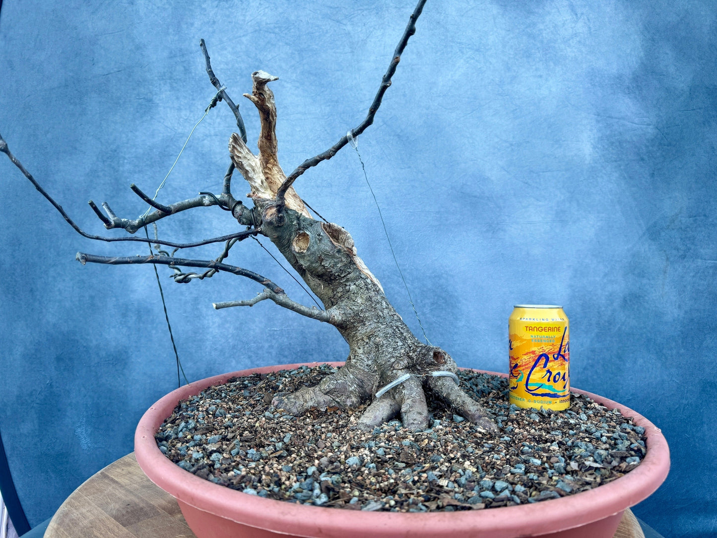 Carved Apple #1 | Local Pickup Only