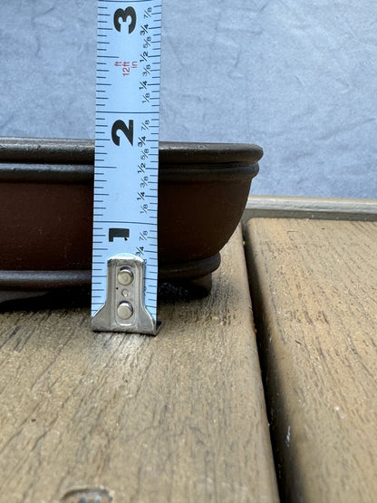 Gradient Finish Unglazed Shallow Oval Pot