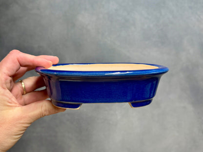 Shallow Deep Blue Oval Pot