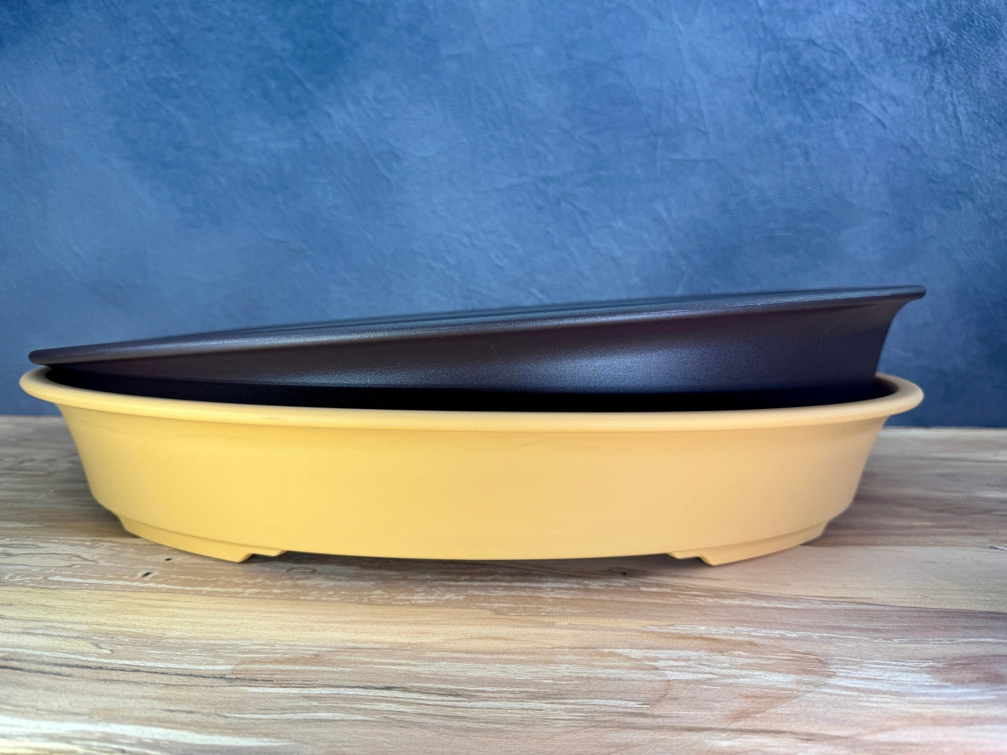 XXL Shallow Oval Training Pot