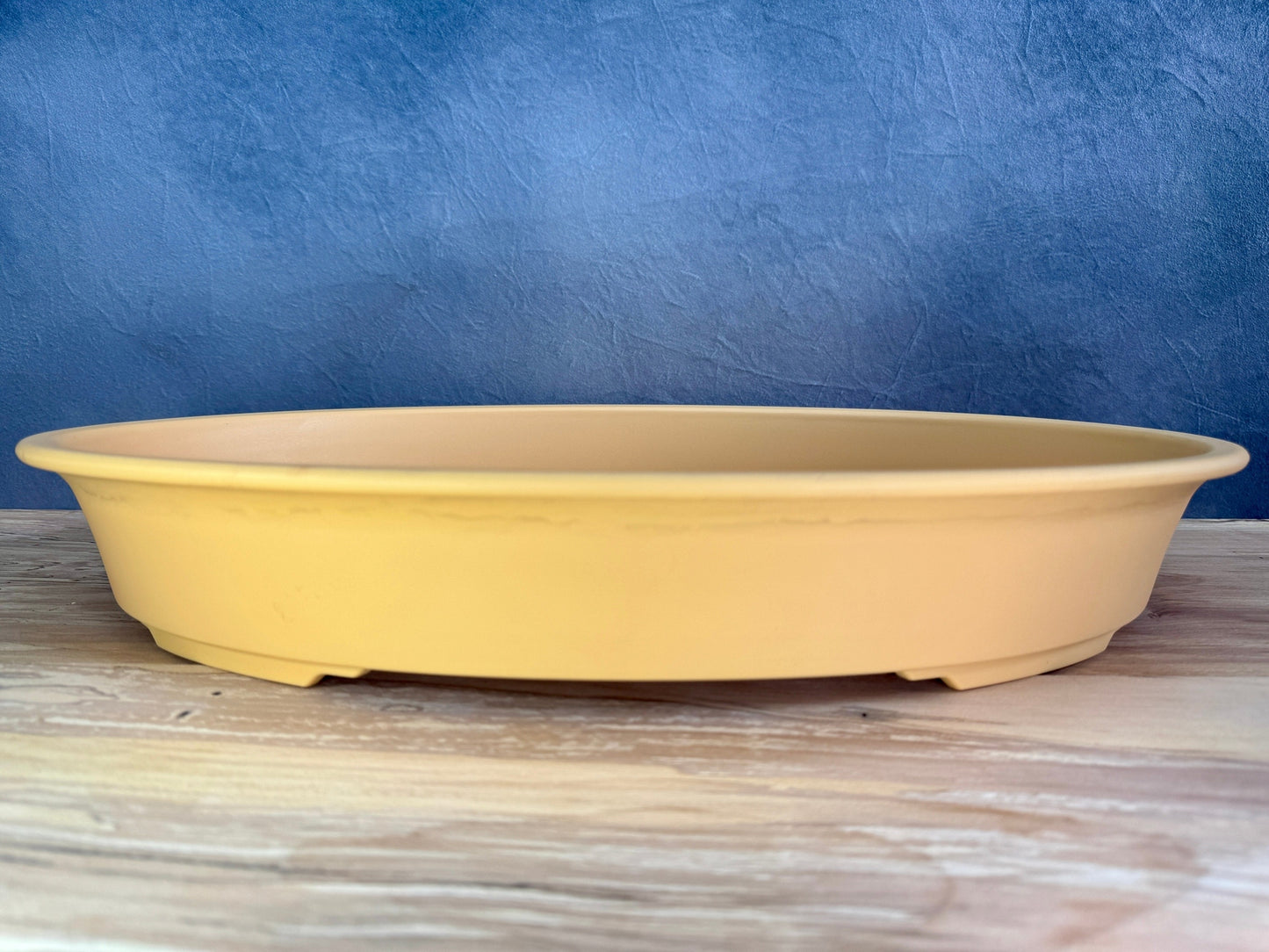 XXL Shallow Oval Training Pot