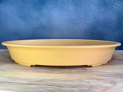 XXL Shallow Oval Training Pot