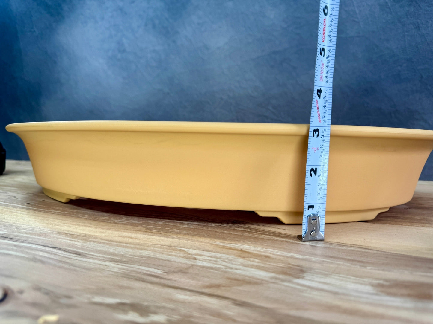 XXL Shallow Oval Training Pot