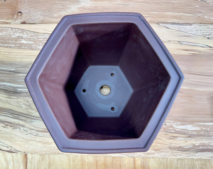 Windowed Cascade Pot