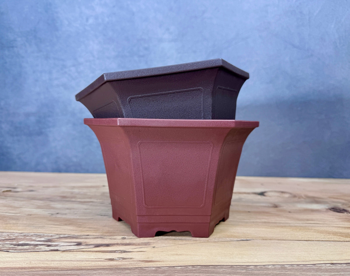 Cascade Bonsai Training Pot (2-Pack)