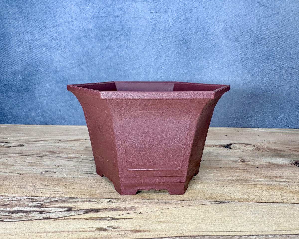 Cascade Bonsai Training Pot (2-Pack)