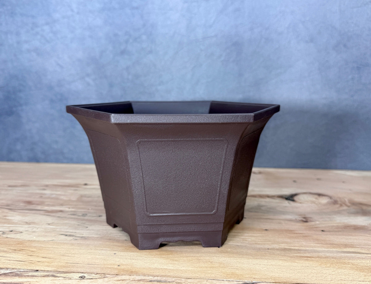Cascade Bonsai Training Pot (2-Pack)
