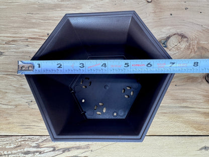 Cascade Bonsai Training Pot (2-Pack)