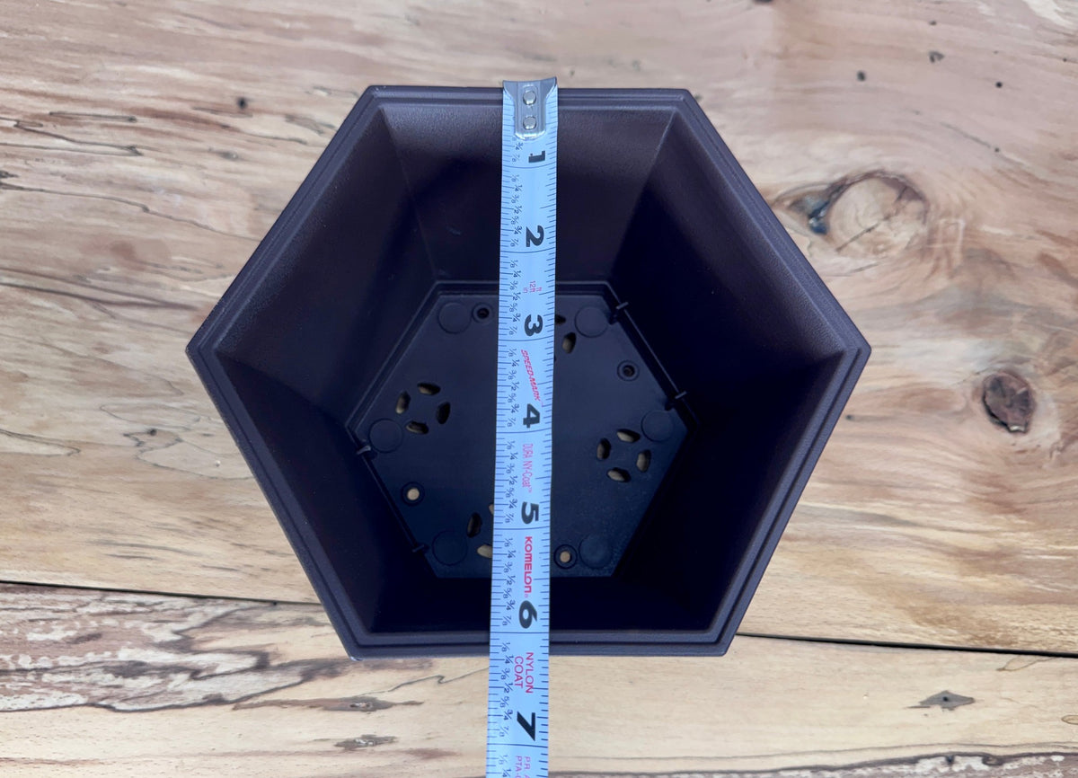 Cascade Bonsai Training Pot (2-Pack)
