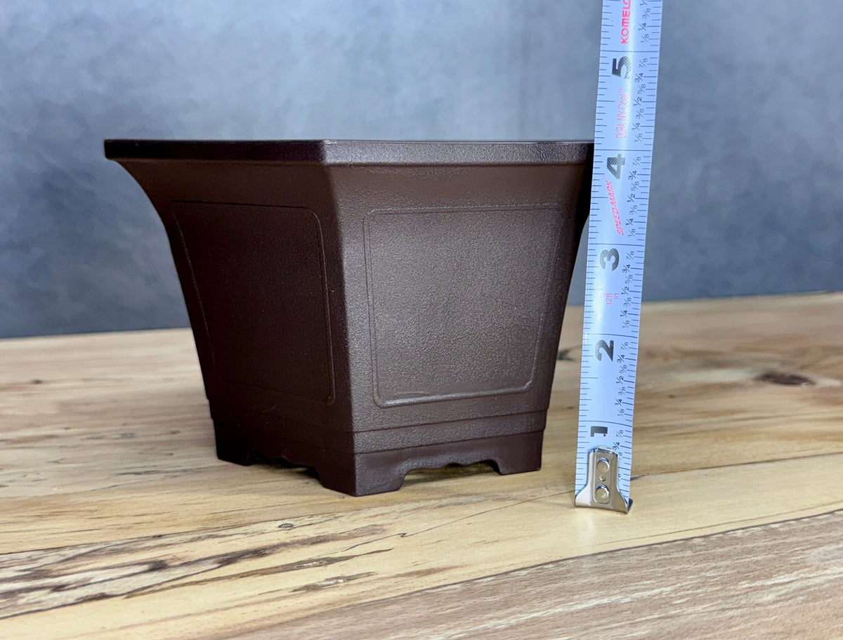 Cascade Bonsai Training Pot (2-Pack)