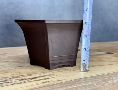 Cascade Bonsai Training Pot (2-Pack)