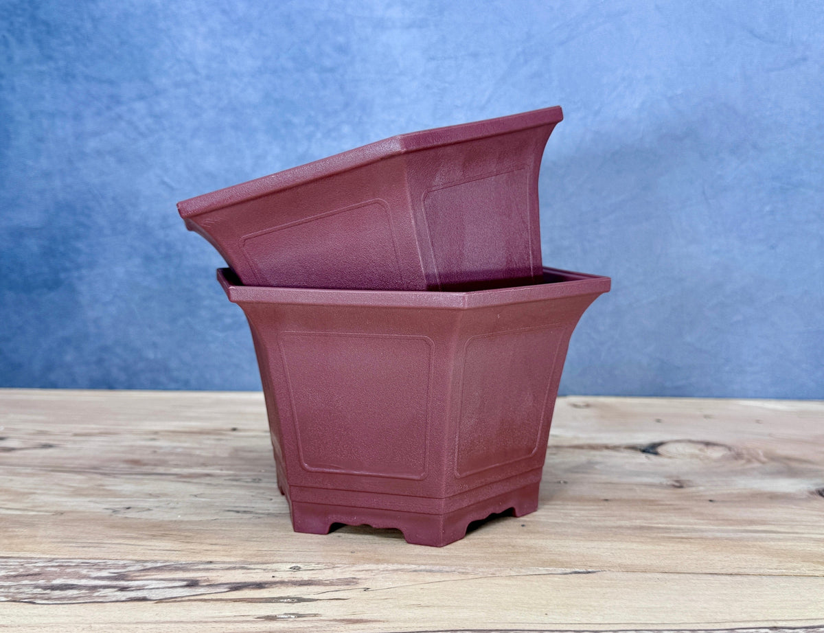 Cascade Bonsai Training Pot (2-Pack)