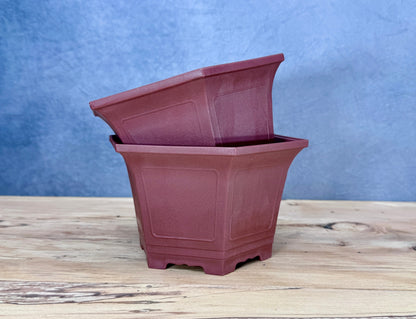 Cascade Bonsai Training Pot (2-Pack)