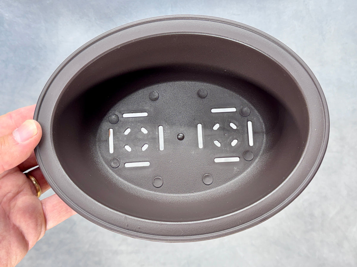Oval Bonsai Training Pot (2-Pack)