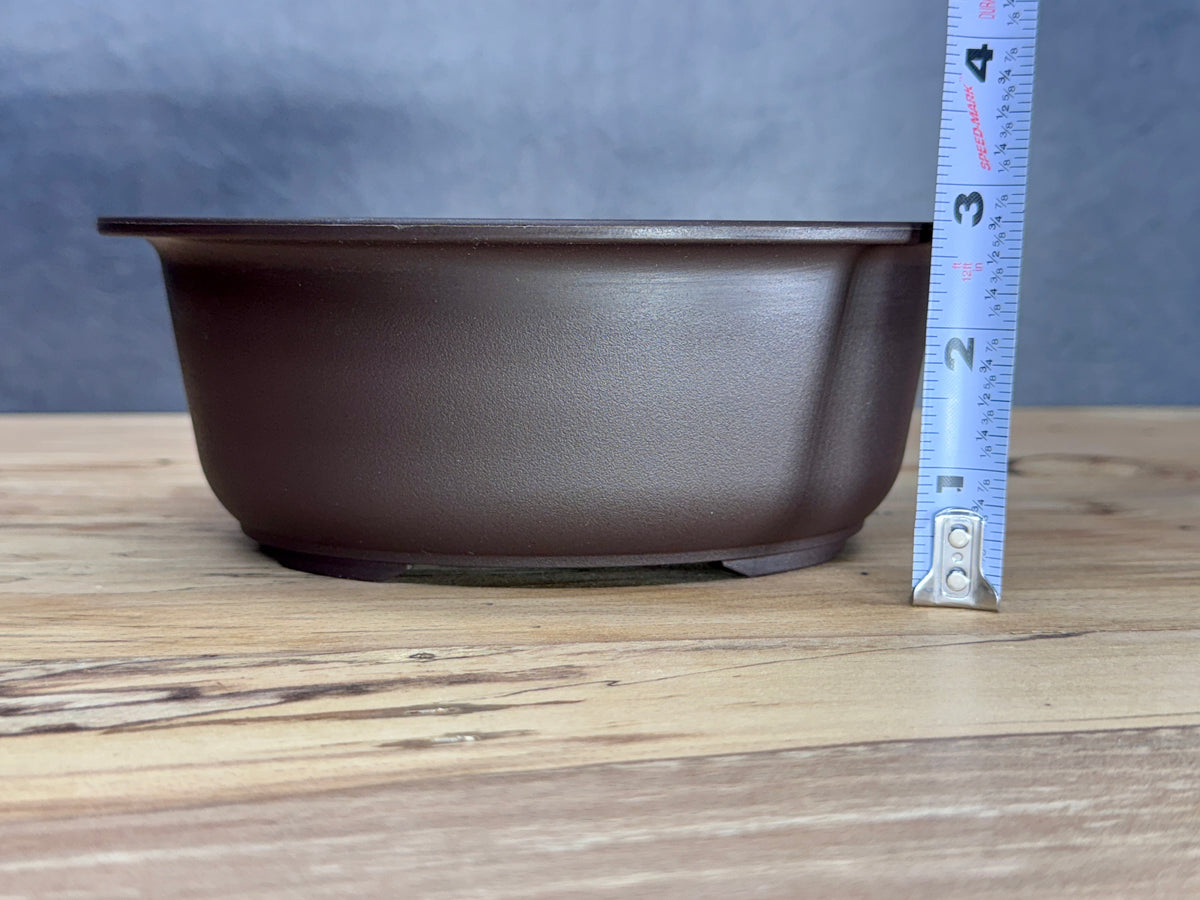 Oval Bonsai Training Pot (2-Pack)