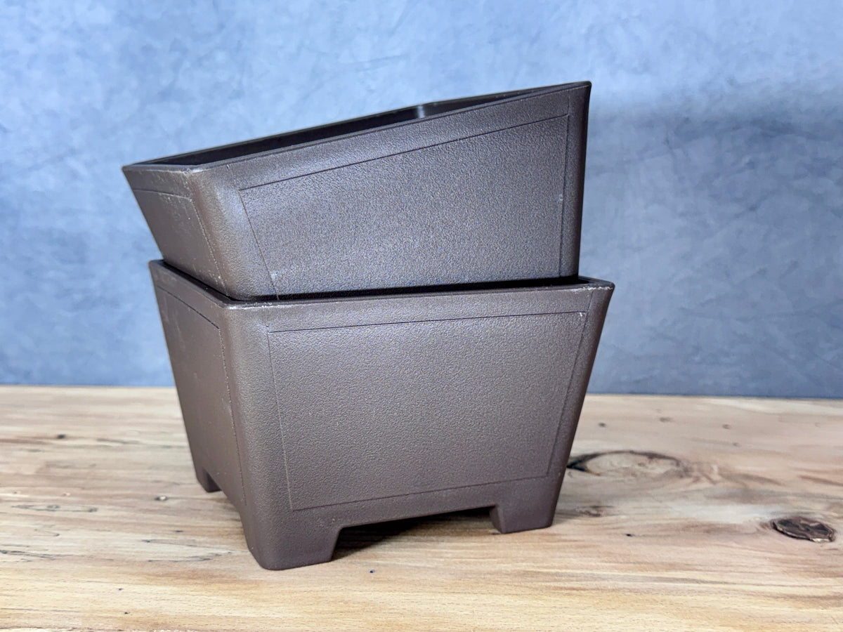 Square Bonsai Training Pot (2-Pack)