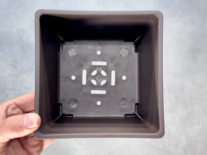 Square Bonsai Training Pot (2-Pack)