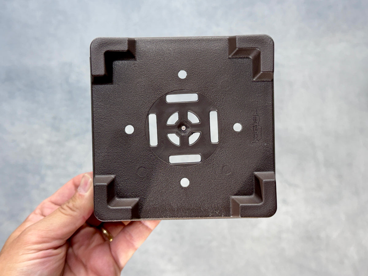 Square Bonsai Training Pot (2-Pack)