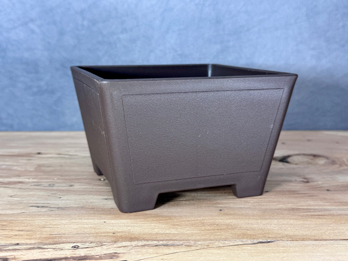 Square Bonsai Training Pot (2-Pack)
