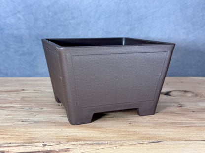 Square Bonsai Training Pot (2-Pack)