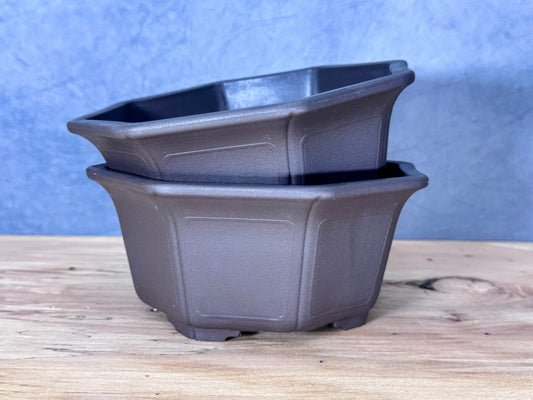 Octagon Bonsai Training Pot (2-Pack)