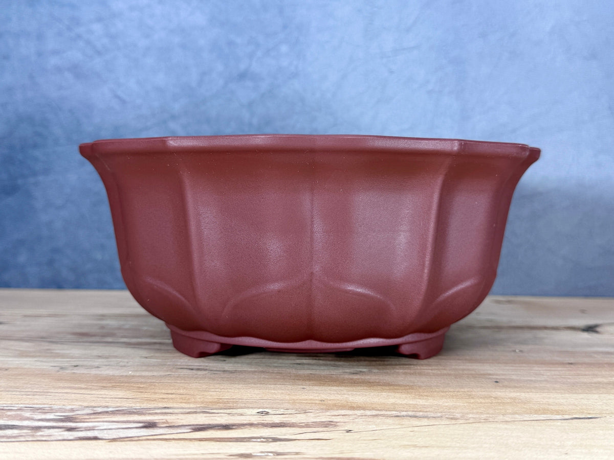 Scalloped Round Training Pot (2-Pack)