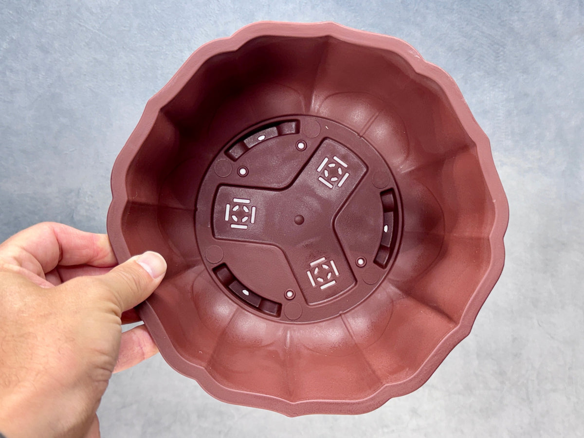 Scalloped Round Training Pot (2-Pack)