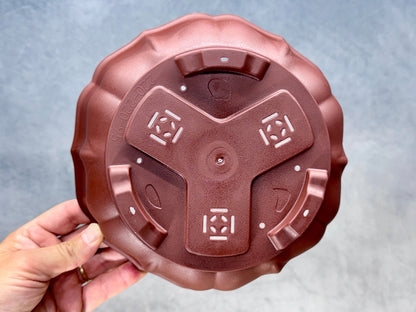 Scalloped Round Training Pot (2-Pack)