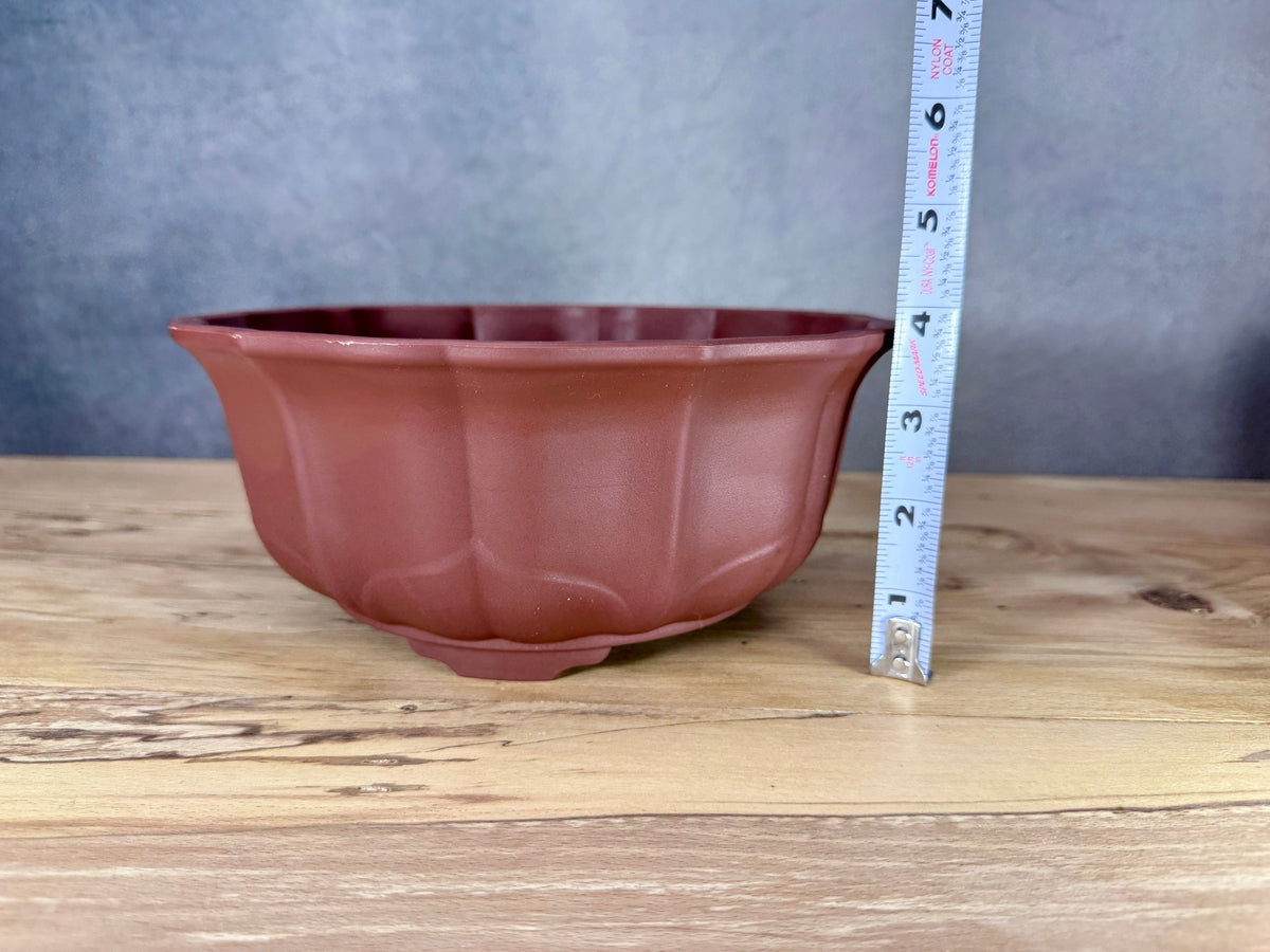 Scalloped Round Training Pot (2-Pack)