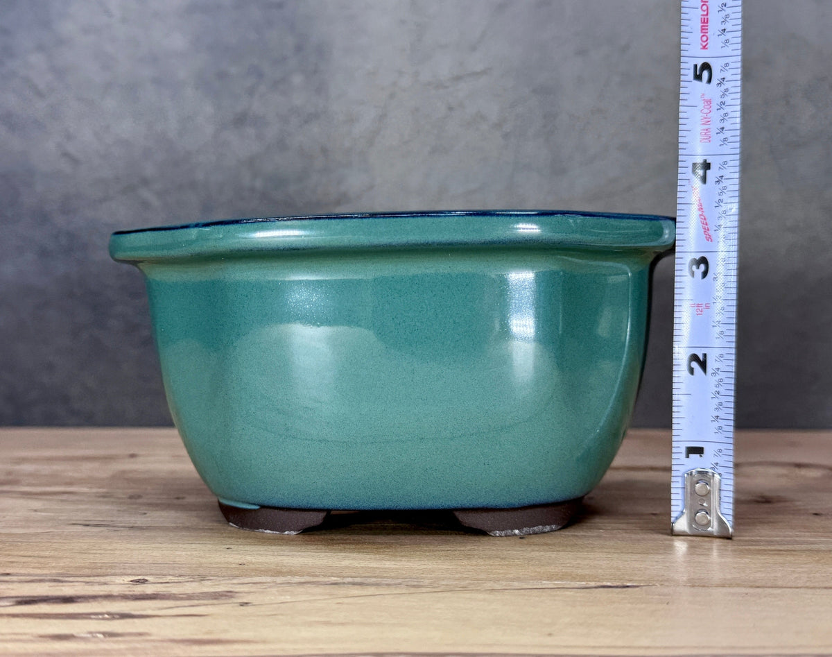 Lipped Japanese Bonsai Pot