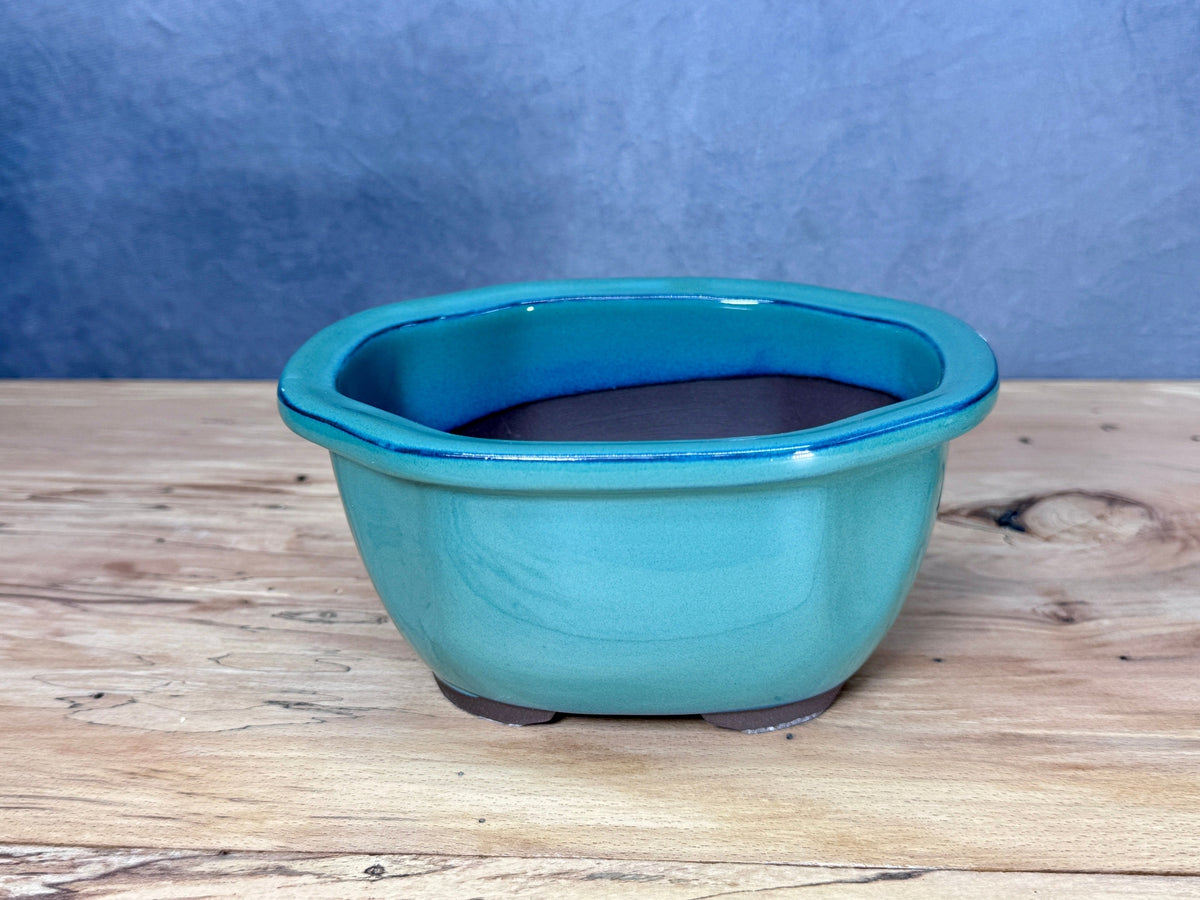 Lipped Japanese Bonsai Pot