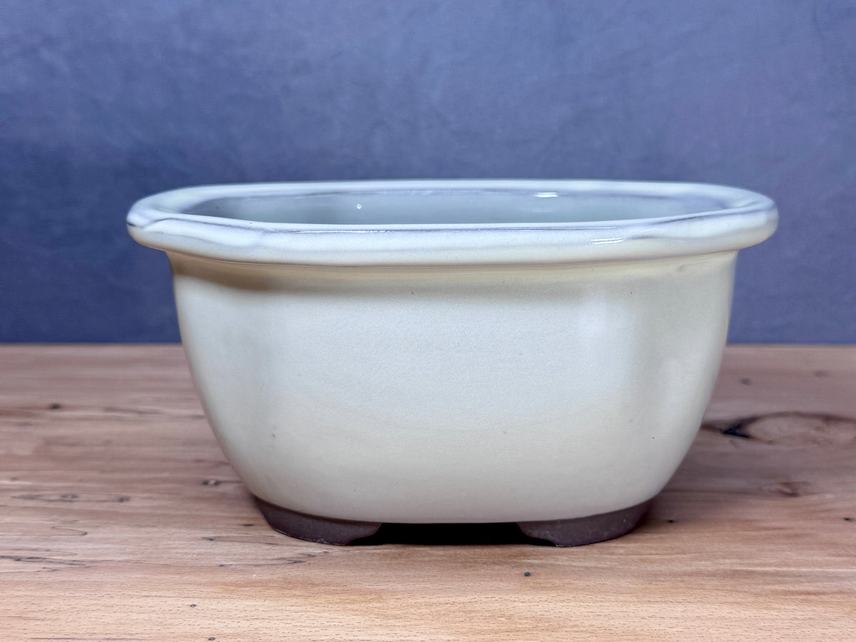 Lipped Japanese Bonsai Pot