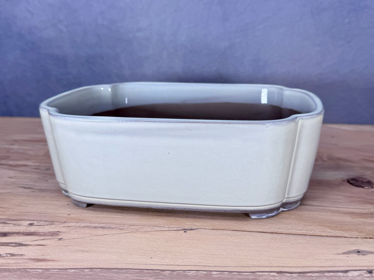 Scalloped Rectangle Japanese Pot