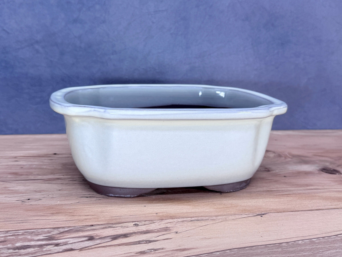 Soft Rectangle Japanese Bonsai Pot