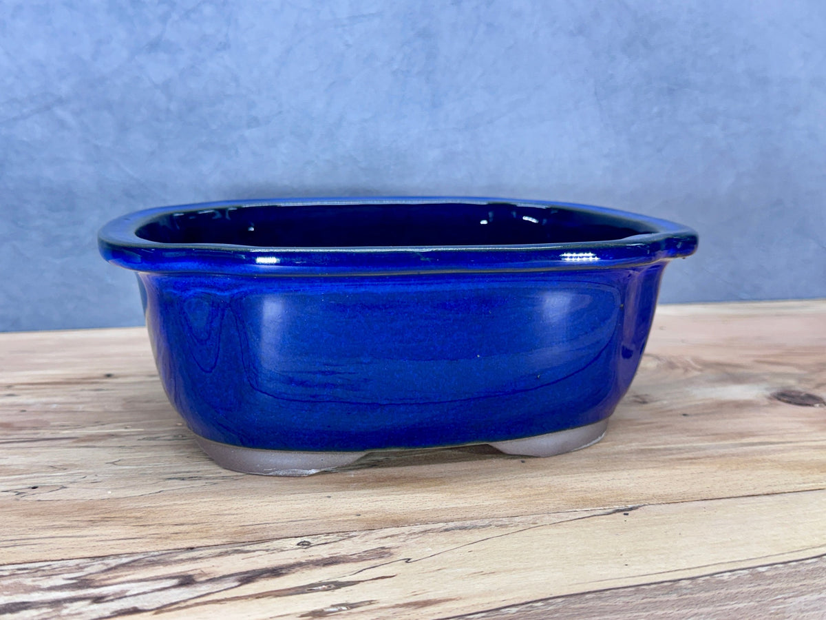 Soft Rectangle Japanese Bonsai Pot