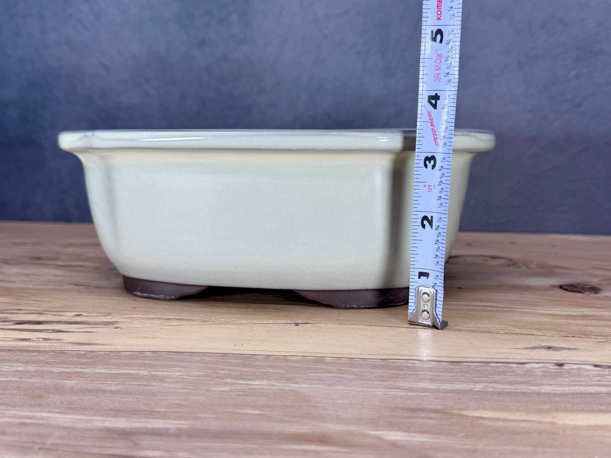 Soft Rectangle Japanese Bonsai Pot